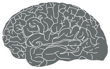 The image depicts a stylized, monochrome brain illustration in gray with white contour lines outlining its structure.