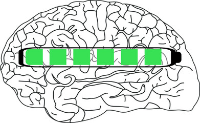 The image shows a black and white illustration of the brain with a horizontal progress bar filled in green.