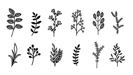 Fototapeta premium A collection of ten hand-drawn botanical illustrations featuring various leaf and branch designs.