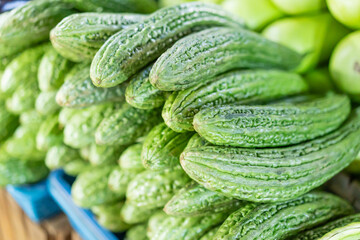 The image features a prominent arrangement of harvested bitter melons, showcasing their elongated...