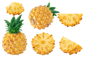 Collection of whole and sliced pineapple fruits isolated on white background with clipping path