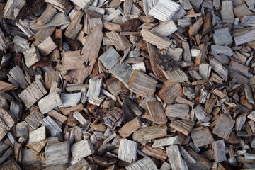 Wood chips scattered on the ground create a natural and rustic surface in a garden setting