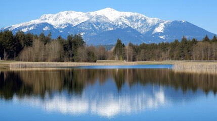 Snow Mountain Reflecting in Lake with Forest Scenery on Sunny Day