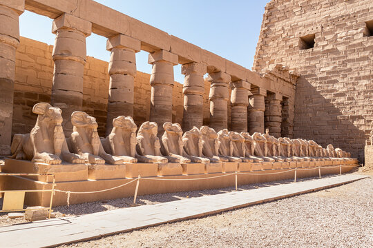 The Temple of Amon is a large temple built in the city of Luxor in the name of Amon Ra, who was considered both a god and a king in ancient Egypt. Amon Ra is also considered the "Sun God" of Egypt.