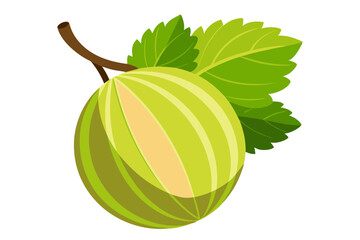 Gooseberry Vector Illustration. A Fresh and Juicy Fruit Design