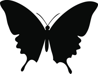 butterfly silhouette vector design