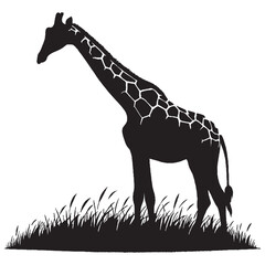 giraffe vector illustration