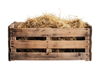 Rustic wooden crate filled with golden straw, ideal for country-themed decor or farmhouse settings, cut out