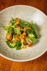 green salad with mushrooms and croutons,