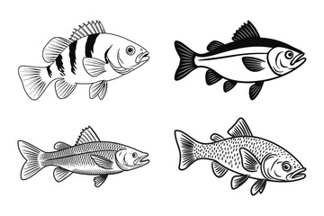 Minimalist fish vector set line art