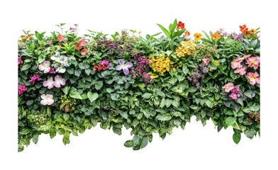 Naklejka premium Vibrant garden display featuring assorted flowers and lush greenery for creative outdoor decoration and landscaping ideas, cut out
