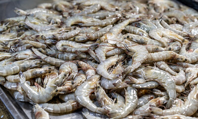 A glistening heap of raw shrimp sprawls across a metal surface, their translucent shells tinged with pale pink and beige.