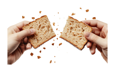 Breaking freshly baked bread in hands for a wholesome culinary experience during a cozy meal time with family or friends, cut out