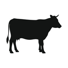 black silhouette of a cow