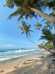 Dalawella beach in Sri Lanka
