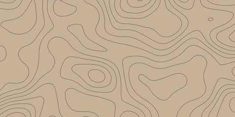 Topographic map lines contour background. Retro, Outline, Vintage, Detailed, Contour, outdoors style, wood, templates, geographic, 3d. Panorama view gradient multicolor wave curve lines. business, art