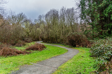 Wetlands Winter Trail