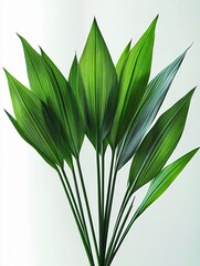 Obraz premium Elegant green leaves arranged in a minimalistic style on a white background, perfect for St. Patrick's Day decorations or eco-friendly promotional materials.