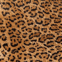 Seamless patterned texture of animal skin, animal print.