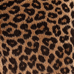 Seamless patterned texture of animal skin, animal print.
