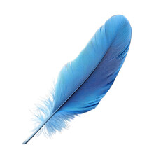 Vibrant Blue Feather Isolated On White Background