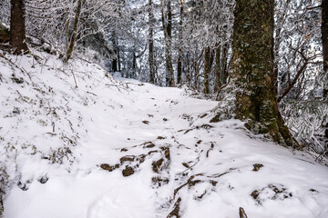 Thick Snow Covers Snake Den Ridge Trail in Spring