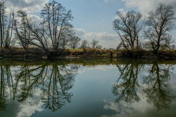 Wandern am Bogener Donau-Altarm an einem frühlingshaften Märztag
