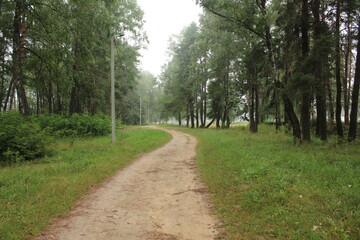 The road in the park is through the green area between the trees and the lawn