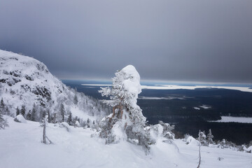 Landscape with winter snow-covered trees. Karelia. Russia