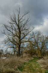 Wandern am Bogener Donau-Altarm an einem frühlingshaften Märztag