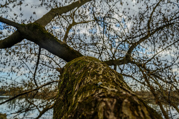 Wandern am Bogener Donau-Altarm an einem frühlingshaften Märztag
