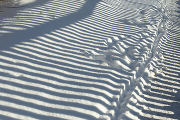 A striking winter scene capturing the interplay of light and shadow on freshly fallen snow. The long, parallel shadows create a mesmerizing striped pattern, likely cast by a fence or railing