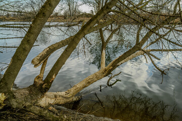 Wandern am Bogener Donau-Altarm an einem frühlingshaften Märztag