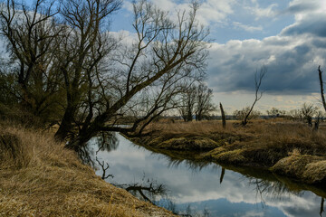 Wandern am Bogener Donau-Altarm an einem frühlingshaften Märztag