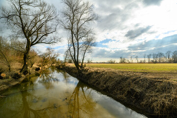 Wandern am Bogener Donau-Altarm an einem frühlingshaften Märztag