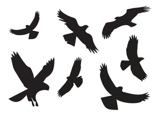 Obraz premium set of silhouettes of birds ana Flying birds silhouettes on white background. Vector illustration. isolated bird flying and Birds silhouettes collection