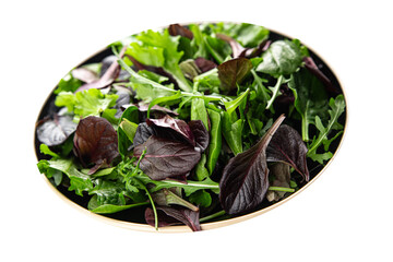 Healthy salad leaves mix salad juicy snack micro greens, arugula, lettuce, oak leaf, green leaf...