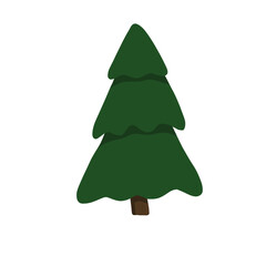 fir christmas tree