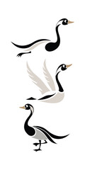 Obraz premium vector illustration of a duck set
