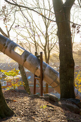 sunlit metal slide in forested playground.