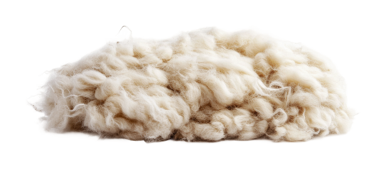 Natural wool fibers ideal for textile projects and crafting uses, cut out