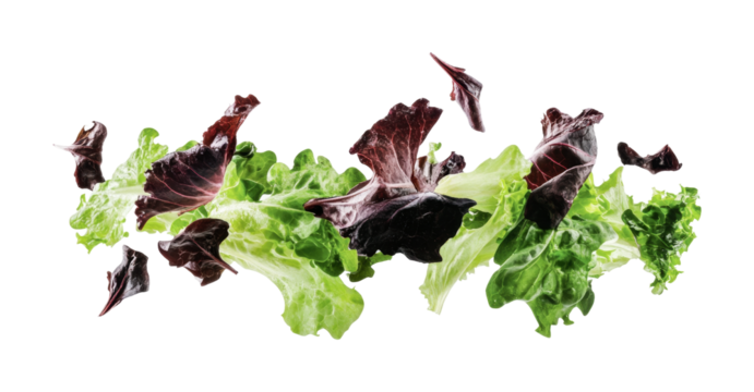 Fresh mixed greens for healthy salad preparation with vibrant colors and crisp textures ideal for meal planning, cut out