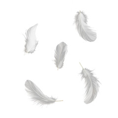 Fototapeta premium Set of isolated falling white fluffy twirled feathers on png transparent background, generate ai