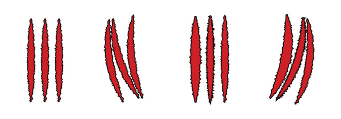 claw mark from wild animal. Animals claw scratches icons set, Claw scratch icon set. Animal scratches. Claws silhouette, vector. Design eps 10