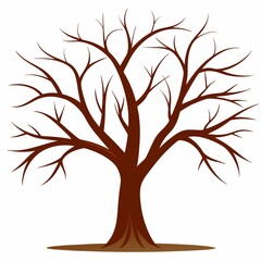  tree isolated without leaves