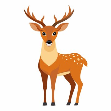 deer isolated on white background ,baby dear isolate, cute dear illustration