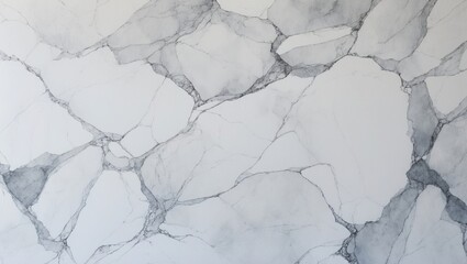 White background with gray veins. Stone texture with black lines and abstract design. Background for graphic design and art projects.