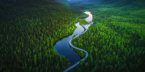 Aerial view of serene winding river through dense green forest landscape
