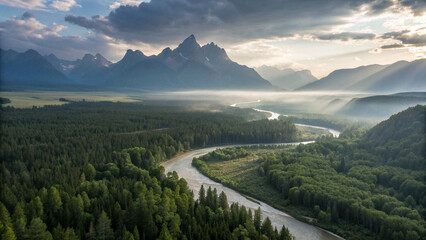 Aerial view, winding river, lush green forest