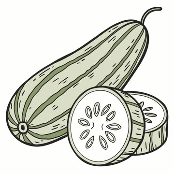 green striped zucchini slices isolated clip art preview